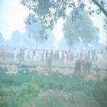 Vraj-Yatra-2014- (1510)